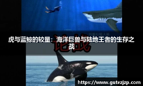 完美电竞