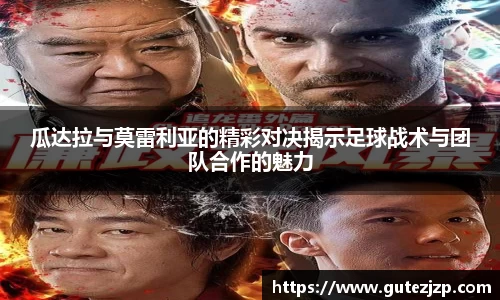 UB8优游国际